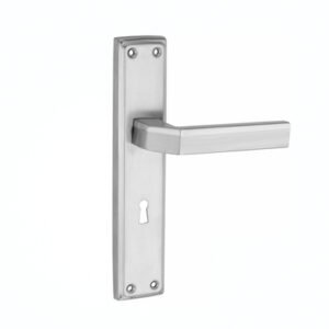 CSS-1004 – Stainless Steel Mortise Handle