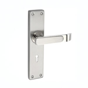 SMH-1015 – Stainless Steel Mortise Handle
