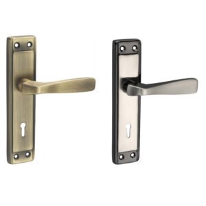 IMH 304 – Antique Brass & Silver Mortise Handle